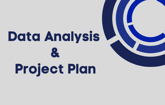 Data Analysis & Project Plan preview